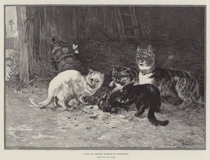 A Gang of Assassins Startled by Butterflies